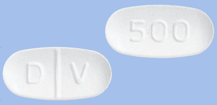 도비안에스정500mg 약