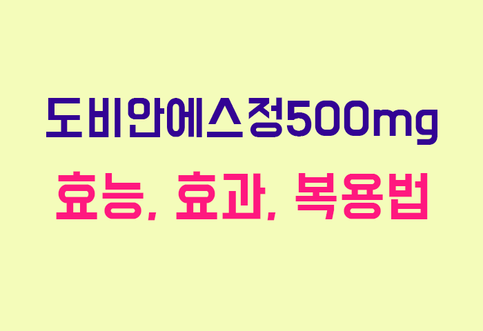 도비안에스정500mg