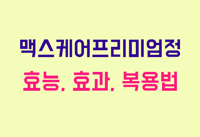 맥스케어프리미엄정