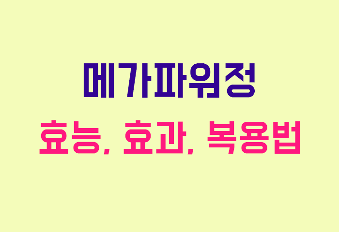메가파워정