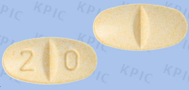메바로친정20mg 약