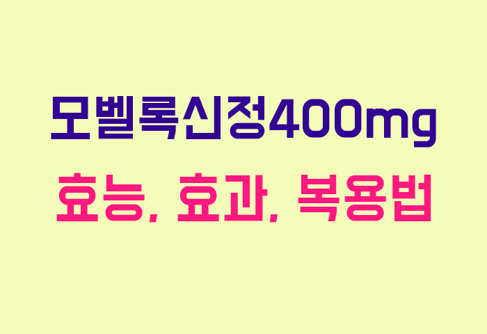 모벨록신정400mg