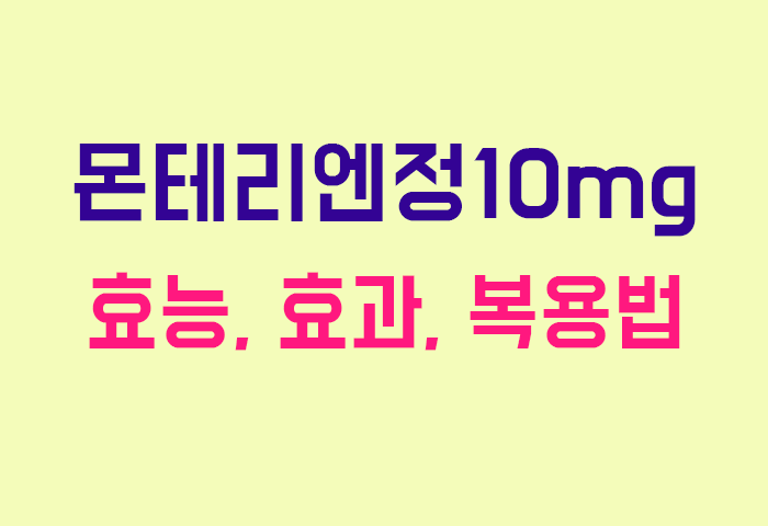 몬테리엔정10mg