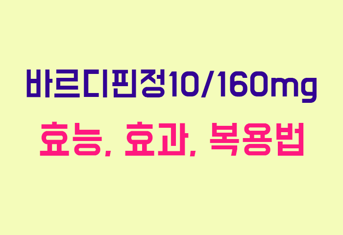 바르디핀정10/160mg