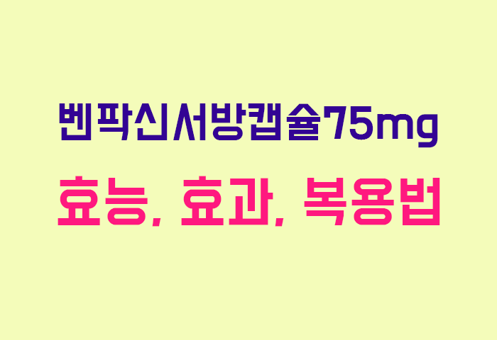 벤팍신서방캡슐75mg