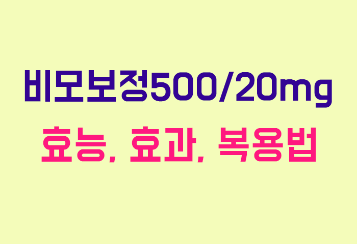 비모보정500/20mg