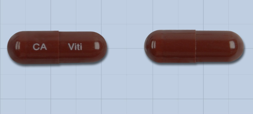 비티엘라캡슐 약
