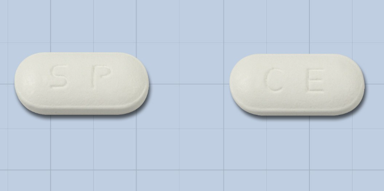 세록심정250mg 약