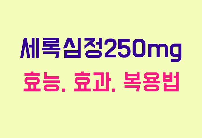 세록심정250mg