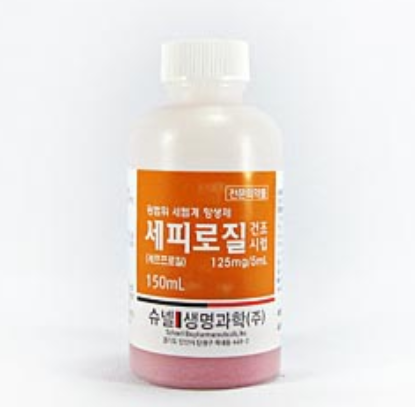 세피로질건조시럽 약