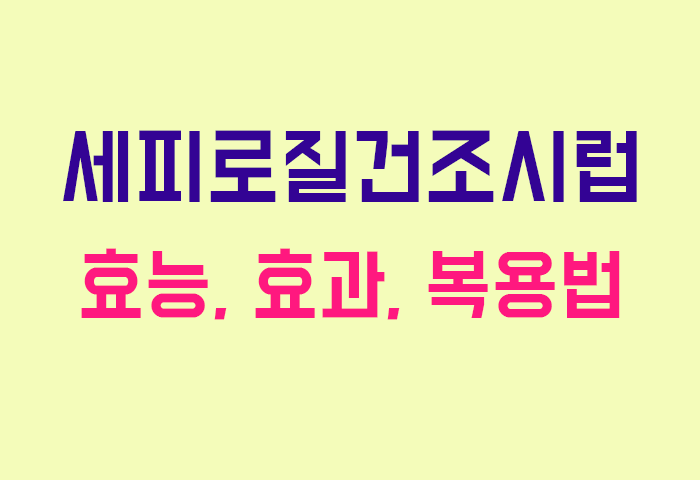 세피로질건조시럽