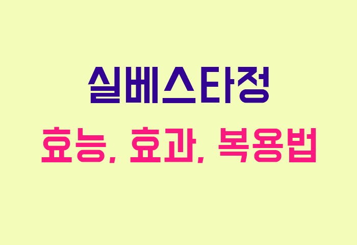 실베스타정