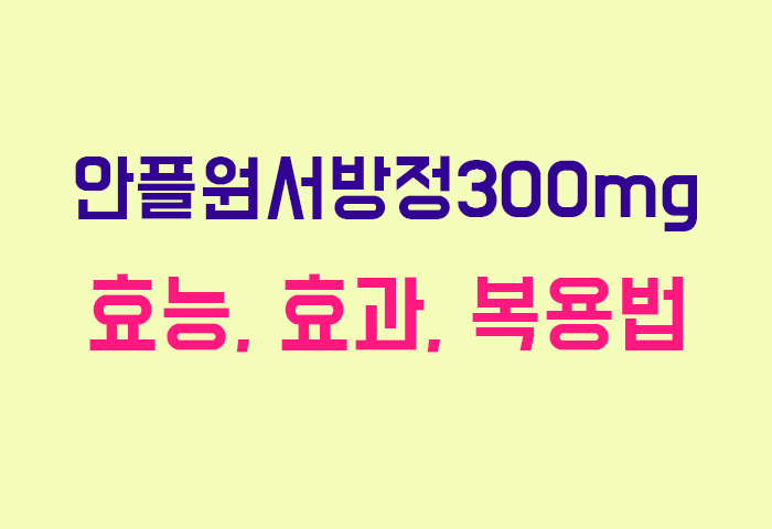 안플원서방정300mg