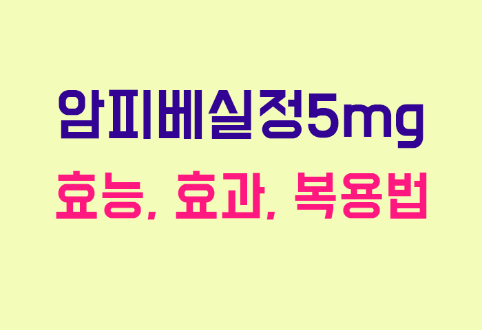 암피베실정5mg