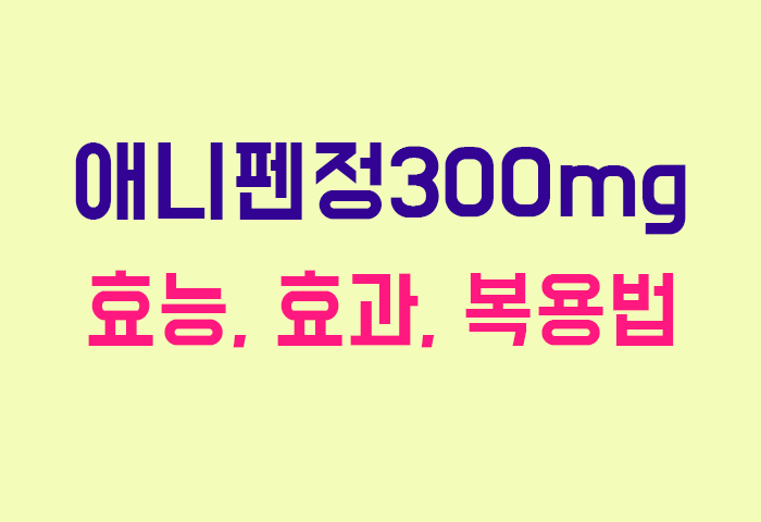 애니펜정300mg