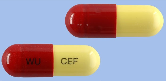 위더세프캡슐 약