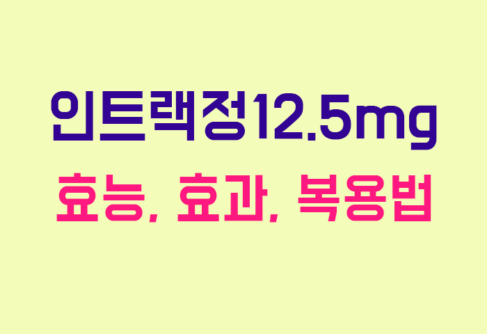 인트랙정12.5mg