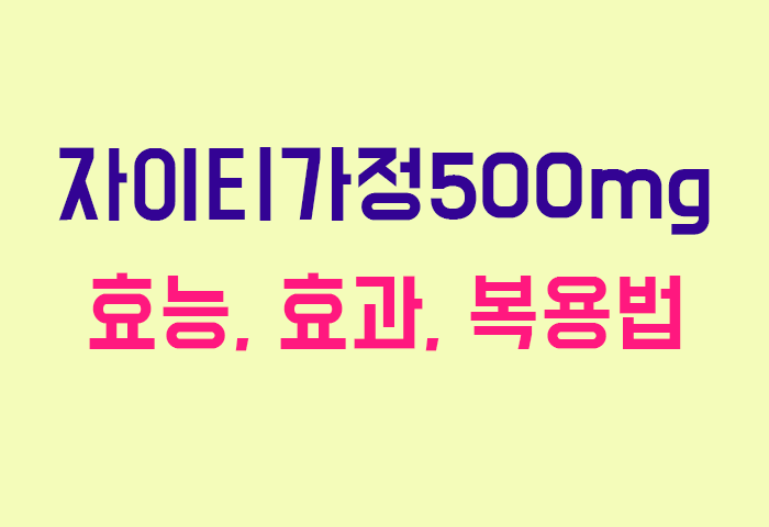 자이티가정500mg
