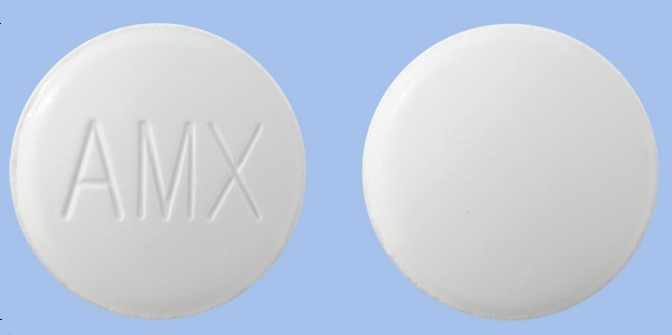 제일알맥스정500mg 약