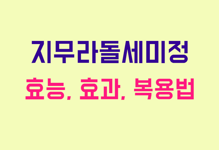 지무라돌세미정