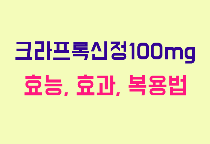 크라프록신정100mg