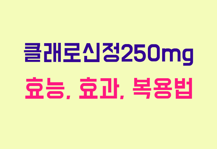 클래로신정250mg