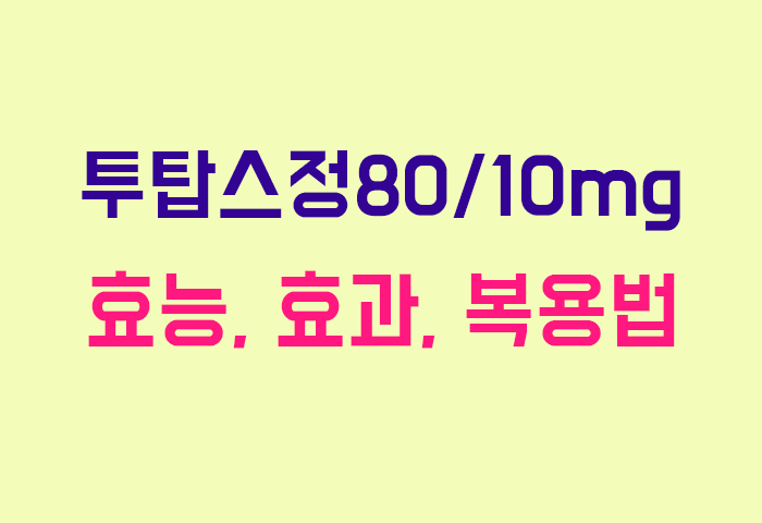 투탑스정80/10mg