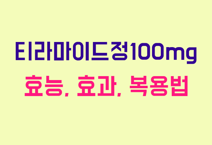 티라마이드정100mg