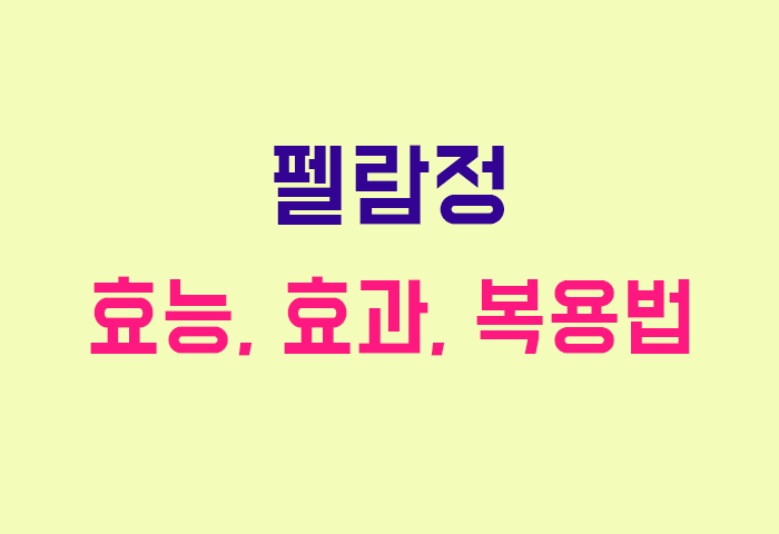 펠람정