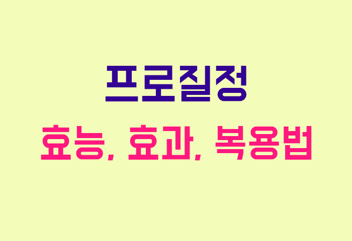 프로질정