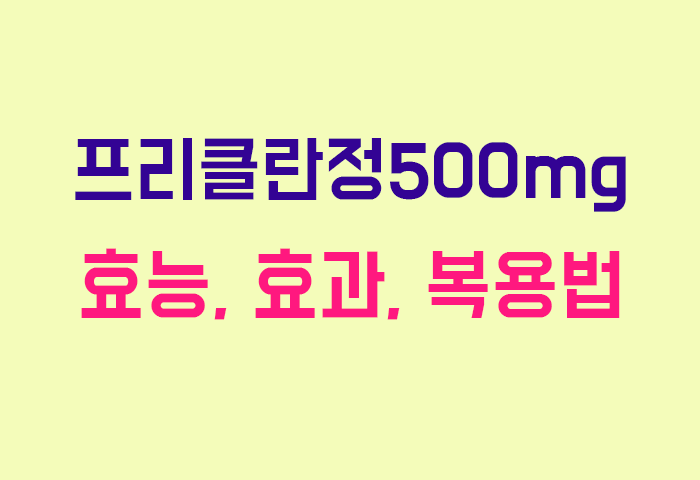 프리클란정500mg