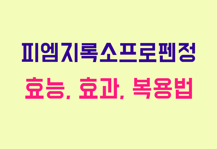 피엠지록소프로펜정