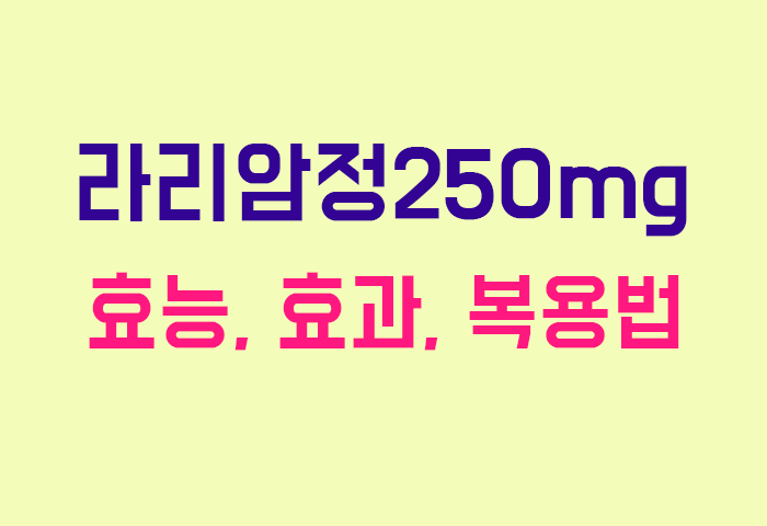 라리암정250mg