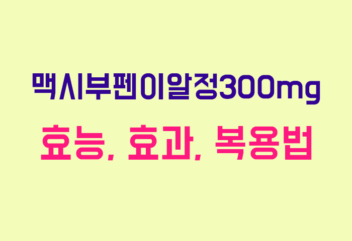 맥시부펜이알정300mg