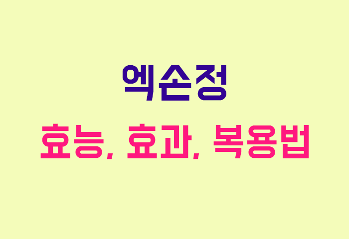 엑손정