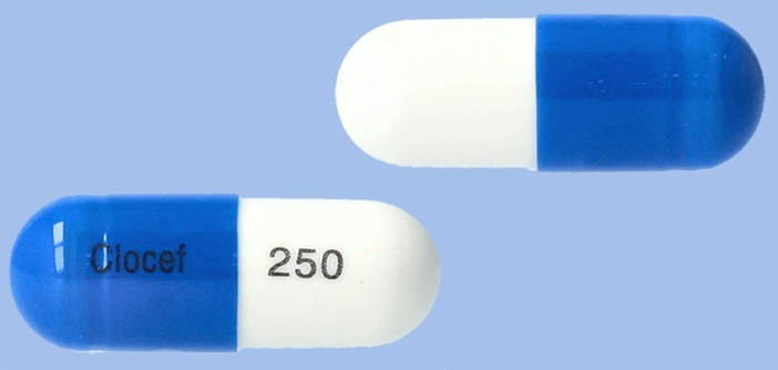 크로세프캡슐250mg 약