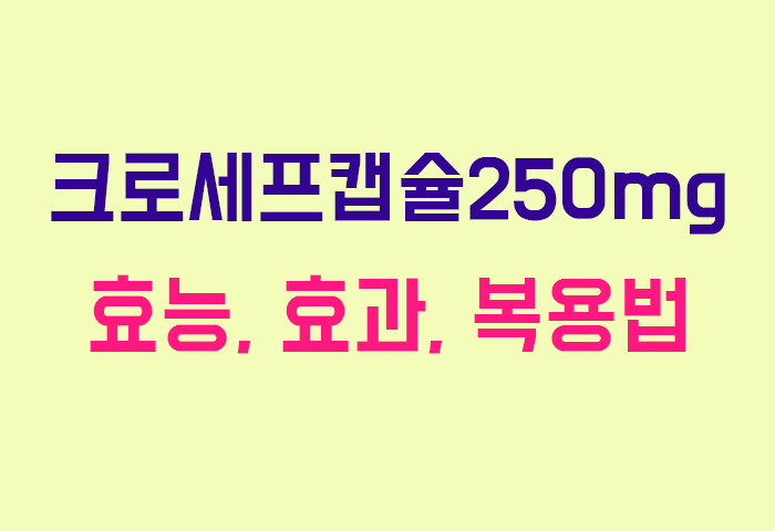 크로세프캡슐250mg
