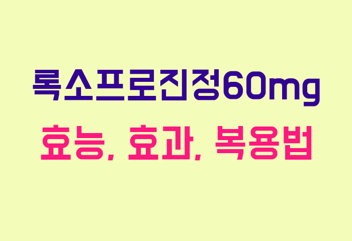 록소프로진정60mg