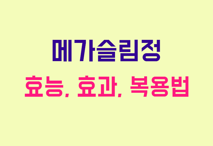 메가슬림정
