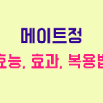 메이트정