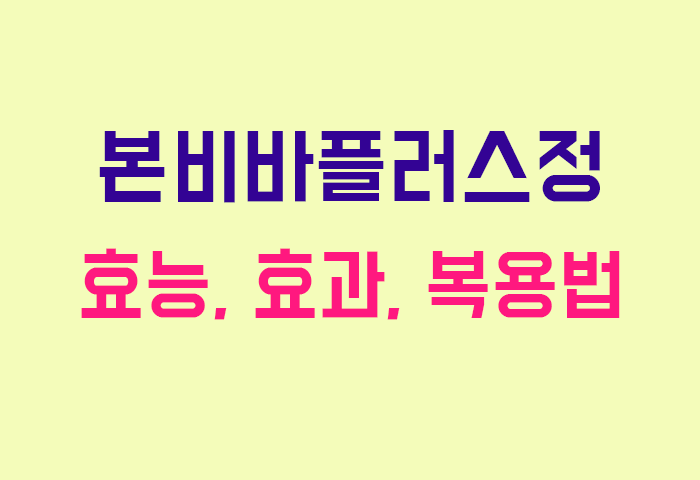 본비바플러스정