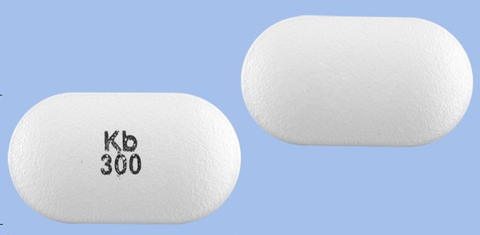 사포겔SR정300mg 약