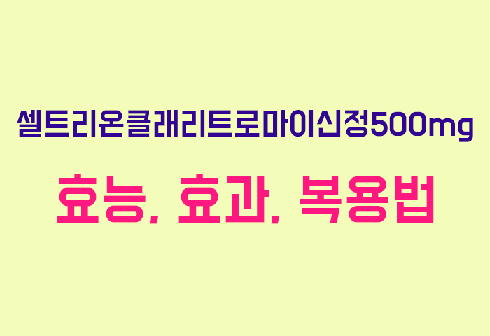 셀트리온클래리트로마이신정500mg