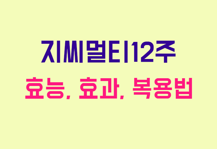 지씨멀티12주
