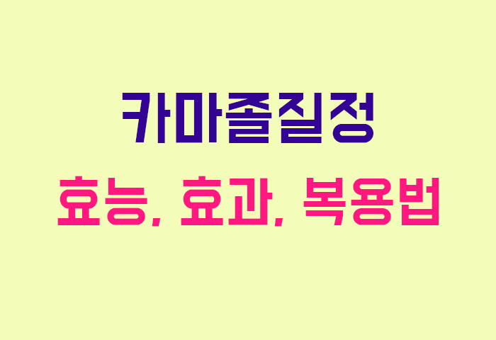 카마졸질정