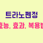 트라노펜정