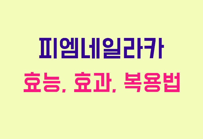 피엠네일라카