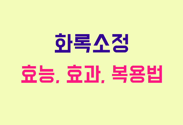 화록소정