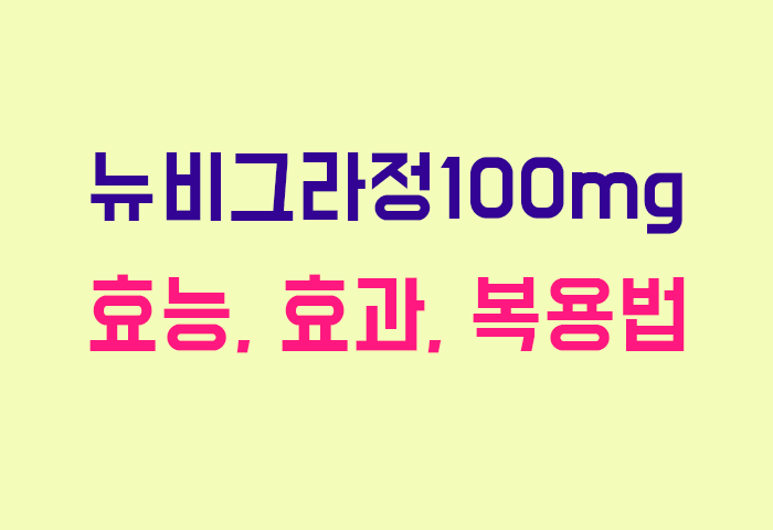 뉴비그라정100mg