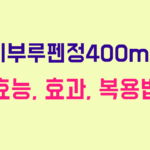 디부루펜정400mg